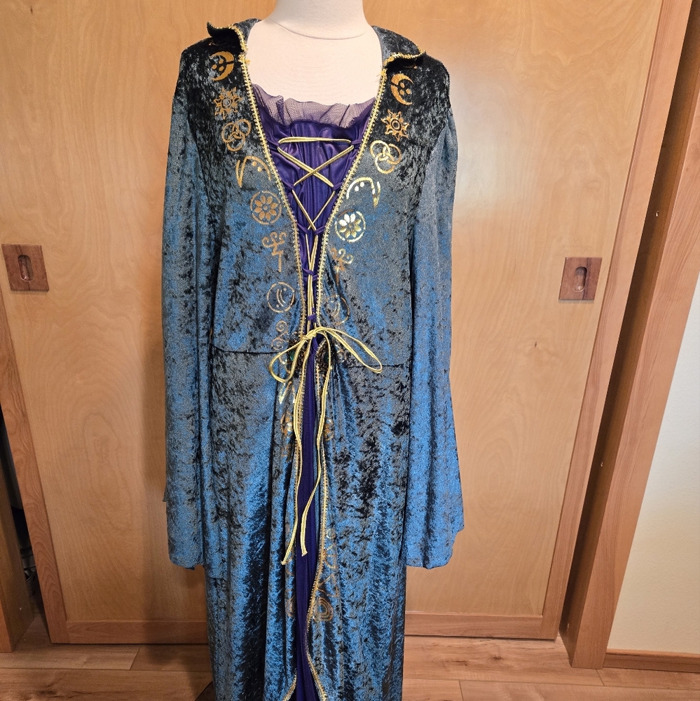 Disney Hocus Pocus Winifred Sanderson Cosplay Costume Dress Adult Womens 2X